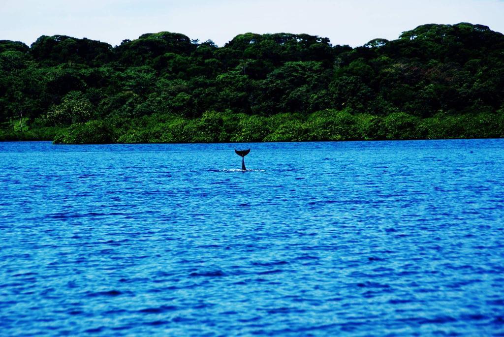 Los Secretos Guesthouse Bocas Town Bagian luar foto